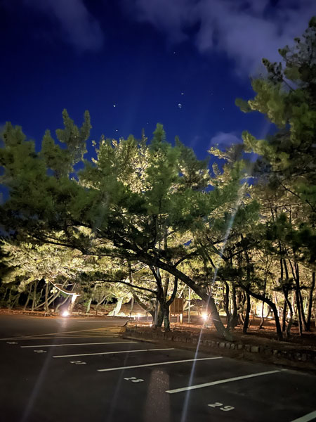 松と駐車場